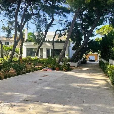 Casa Morgana Daire Giovinazzo