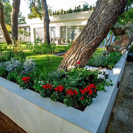 Casa Morgana