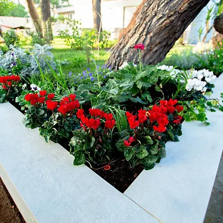 Casa Morgana Apartment *